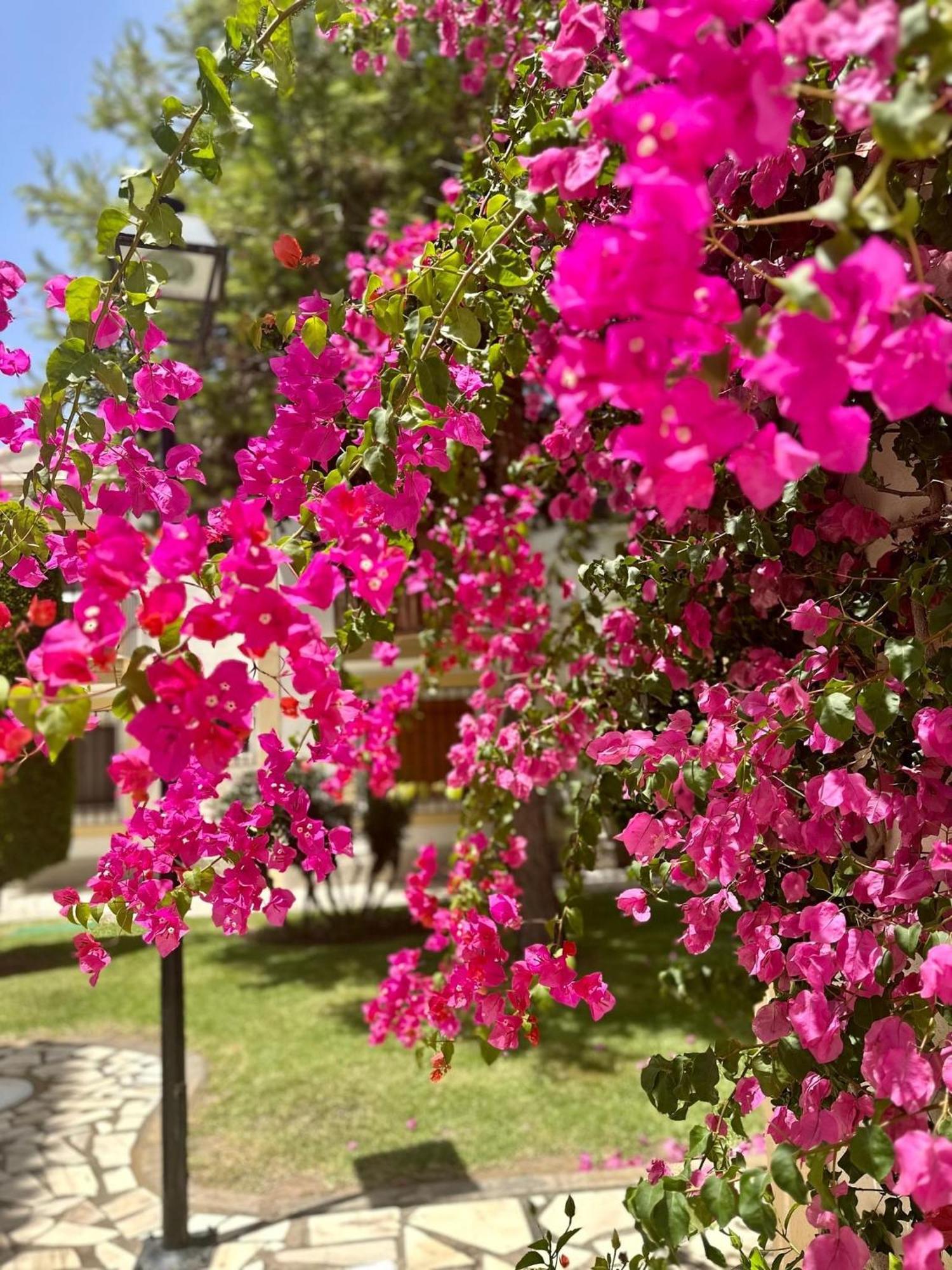 Casa Veranera Vera Costa Playas de Vera Екстер'єр фото