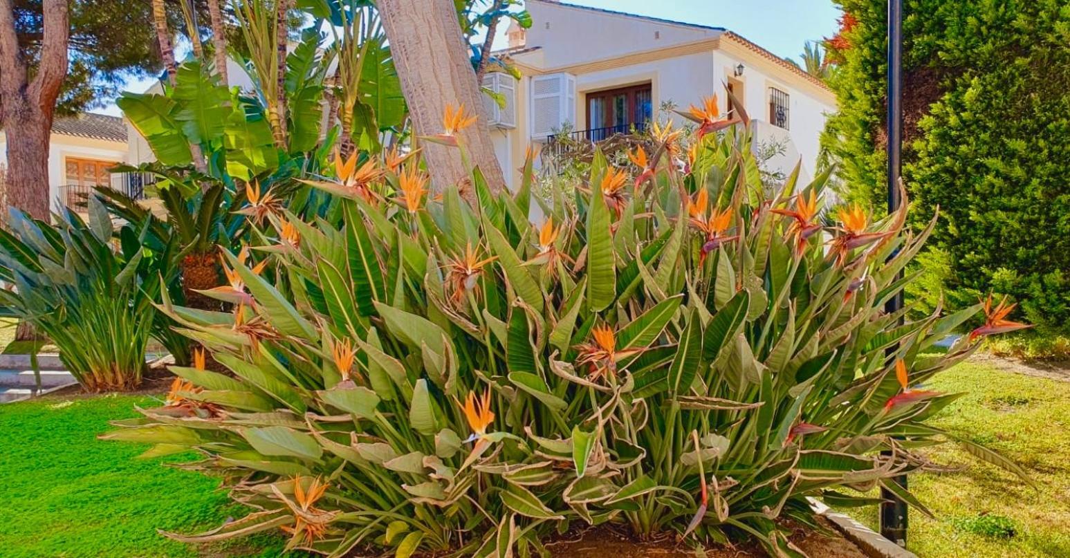 Casa Veranera Vera Costa Playas de Vera Екстер'єр фото