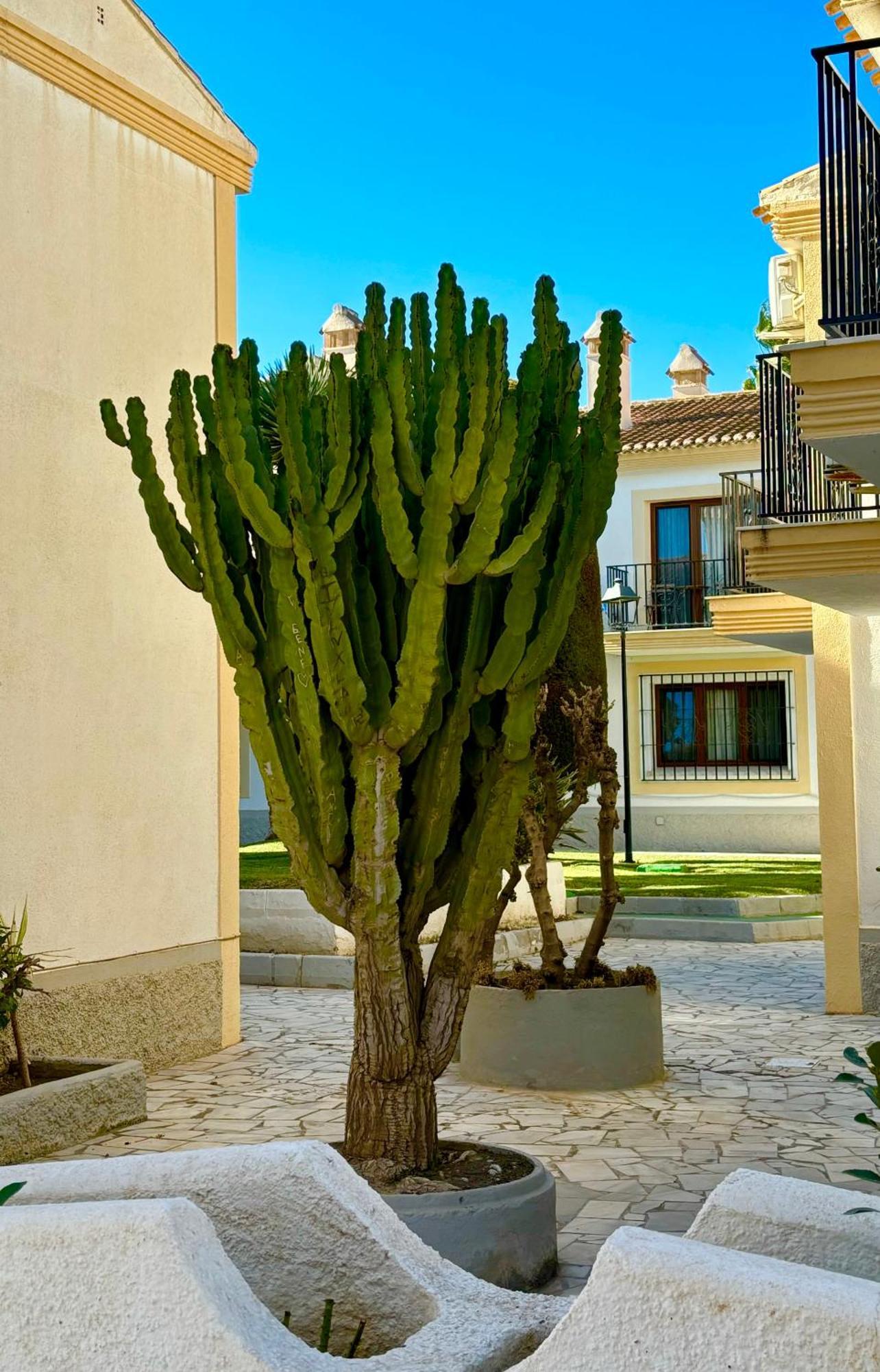 Casa Veranera Vera Costa Playas de Vera Екстер'єр фото